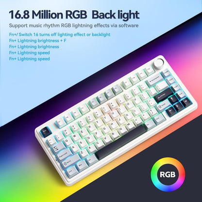 x Aula F75 Pro Wireless Gaming Keyboard